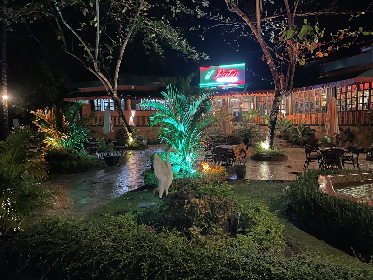 Garden restaurant glowing with lights at night